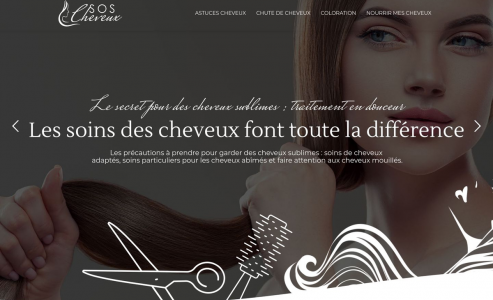 https://www.sos-cheveux.fr